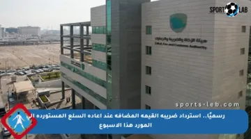 رسميًا.. استرداد ضريبة القيمة المضافة عند إعادة السلع المستوردة إلى المورد هذا الأسبوع